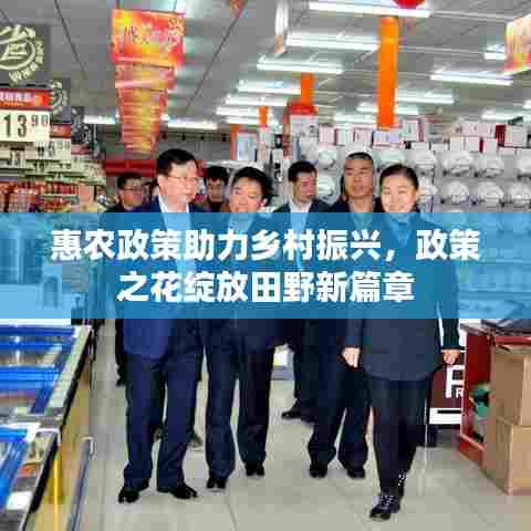 惠农政策助力乡村振兴,政策之花绽放田野新篇章
