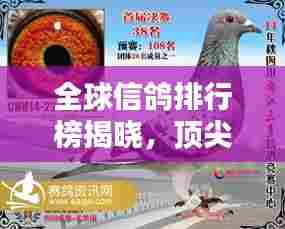全球信鸽排行榜揭晓，顶尖信鸽竞技，谁将荣登榜首？