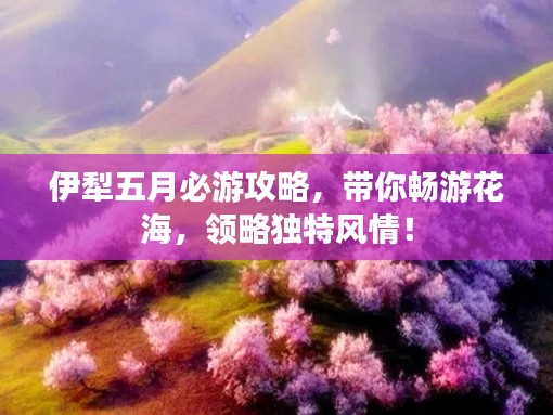 伊犁五月必游攻略,带你畅游花海,领略独特风情!