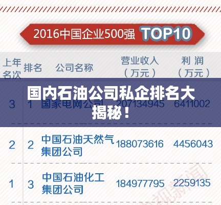 国内石油公司私企排名大揭秘！