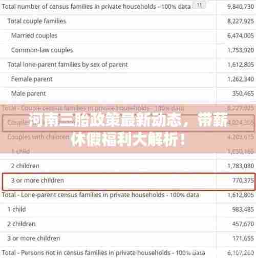河南三胎政策最新动态，带薪休假福利大解析！