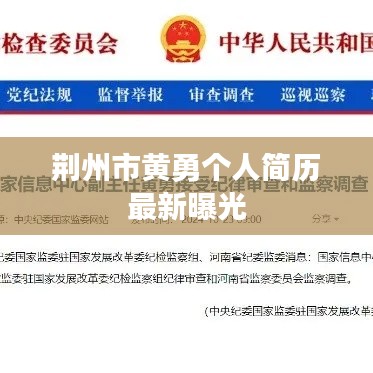 荆州市黄勇个人简历最新曝光