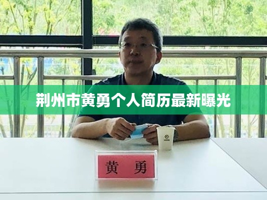 荆州市黄勇个人简历最新曝光