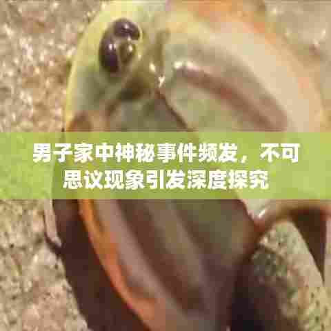 男子家中神秘事件频发，不可思议现象引发深度探究