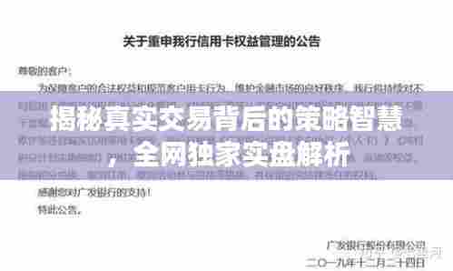 揭秘真实交易背后的策略智慧,全网独家实盘解析