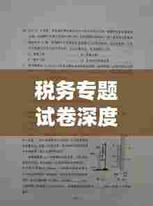 税务专题试卷深度解析,从知识盲点到得分策略
