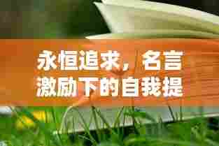 永恒追求,名言激励下的自我提升之路