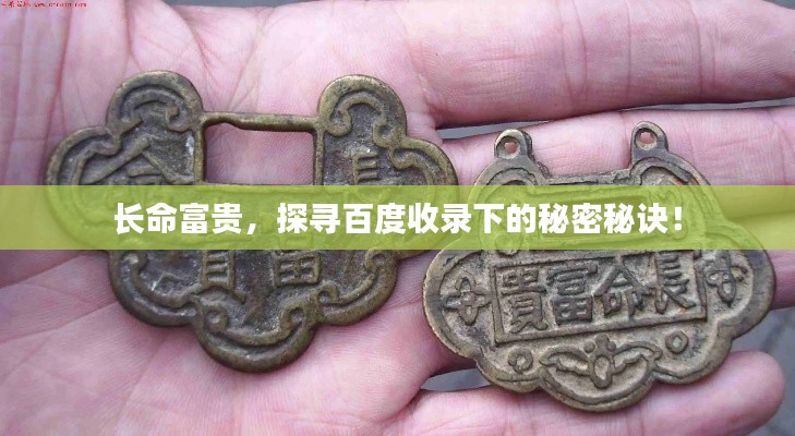 长命富贵,探寻百度收录下的秘密秘诀!