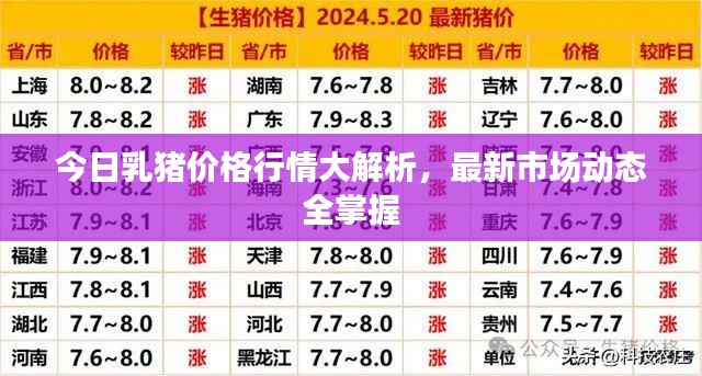 今日乳猪价格行情大解析，最新市场动态全掌握