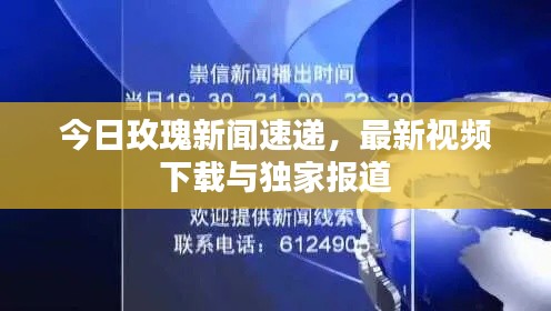今日玫瑰新闻速递,最新视频下载与独家报道