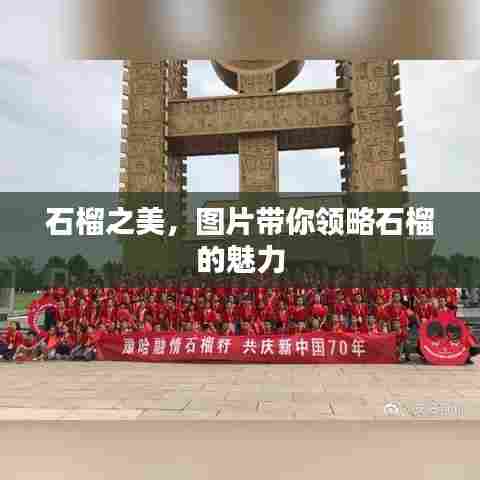 石榴之美,图片带你领略石榴的魅力