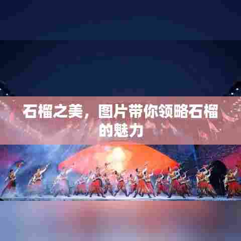 石榴之美,图片带你领略石榴的魅力