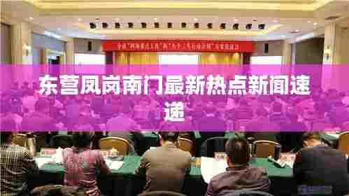 东营凤岗南门最新热点新闻速递