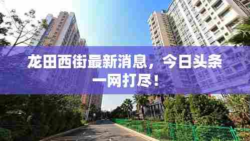 龙田西街最新消息，今日头条一网打尽！