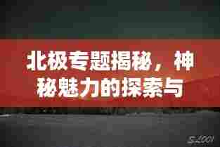 北极专题揭秘,神秘魅力的探索与未来挑战