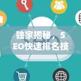 独家揭秘，SEO快速排名技术，优化秘籍大公开