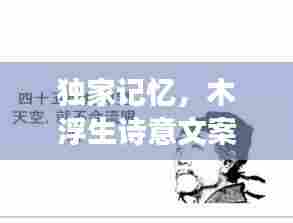 独家记忆,木浮生诗意文案,韵味深长