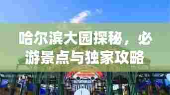 哈尔滨大园探秘，必游景点与独家攻略