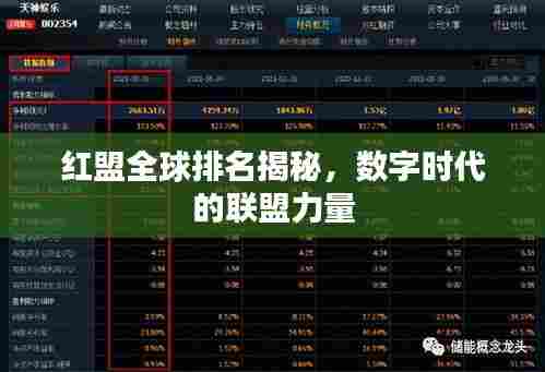 红盟全球排名揭秘,数字时代的联盟力量