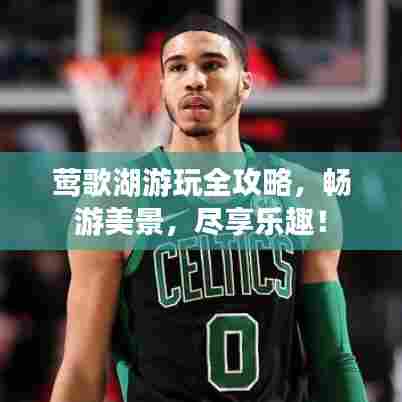 射飞逐走 第6页