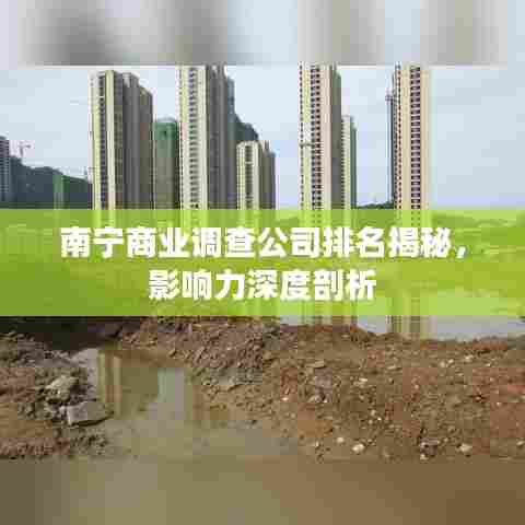 南宁商业调查公司排名揭秘，影响力深度剖析