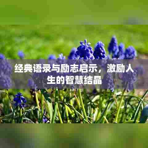 经典语录与励志启示，激励人生的智慧结晶