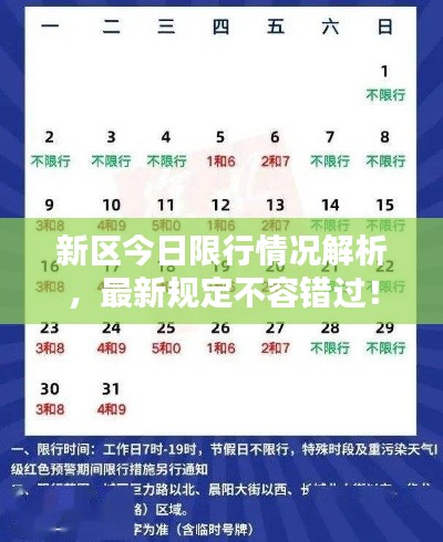 新区今日限行情况解析,最新规定不容错过!