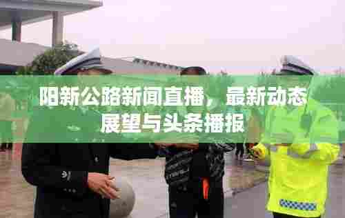 阳新公路新闻直播,最新动态展望与头条播报
