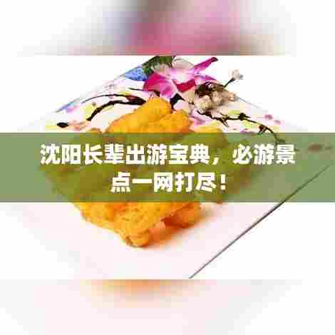 沈阳长辈出游宝典，必游景点一网打尽！