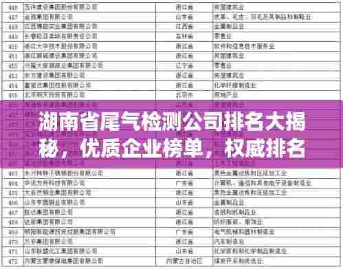 湖南省尾气检测公司排名大揭秘，优质企业榜单，权威排名一网打尽！