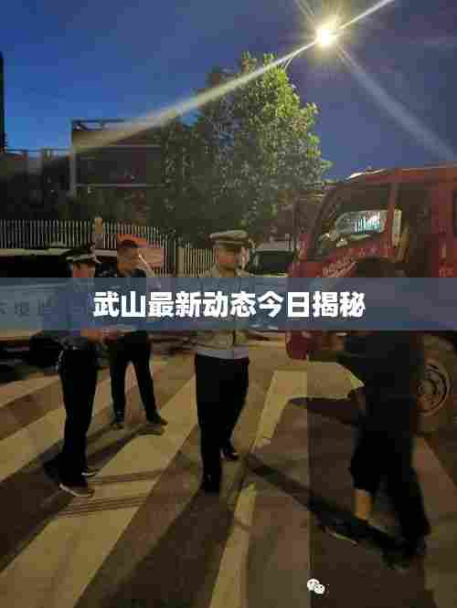 武山最新动态今日揭秘