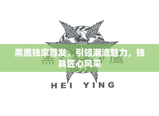 黑鹰独家首发，引领潮流魅力，独具匠心风采