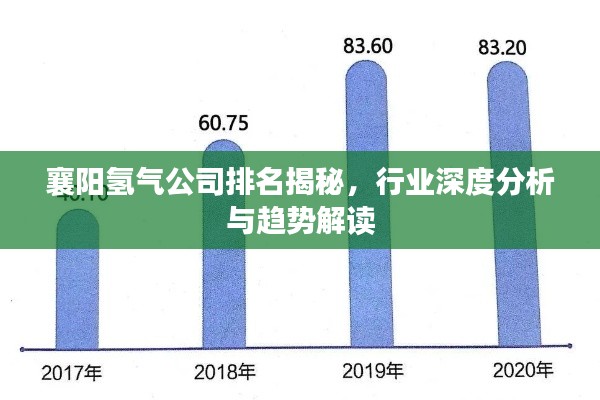 襄阳氢气公司排名揭秘,行业深度分析与趋势解读