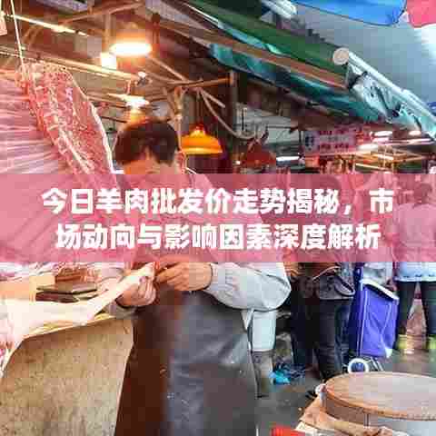 今日羊肉批发价走势揭秘，市场动向与影响因素深度解析