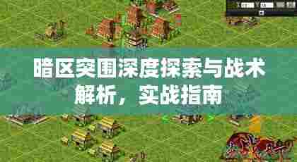 暗区突围深度探索与战术解析,实战指南