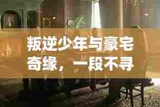 还朴反古 第5页