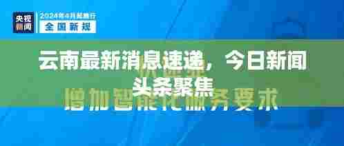 云南最新消息速递,今日新闻头条聚焦