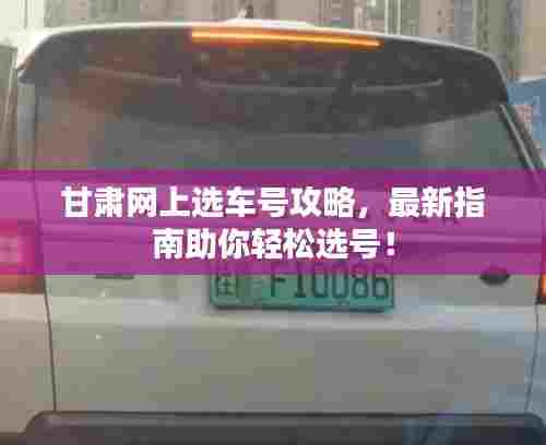 甘肃网上选车号攻略，最新指南助你轻松选号！