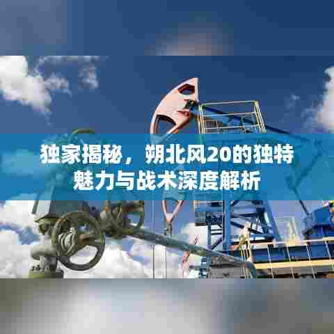 独家揭秘，朔北风20的独特魅力与战术深度解析