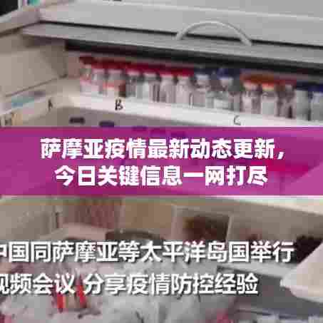 萨摩亚疫情最新动态更新，今日关键信息一网打尽