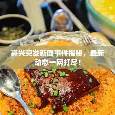 嘉兴突发新闻事件揭秘，最新动态一网打尽！