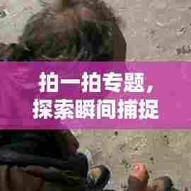 拍一拍专题,探索瞬间捕捉的艺术魅力