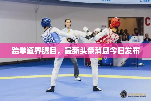 跆拳道界瞩目,最新头条消息今日发布