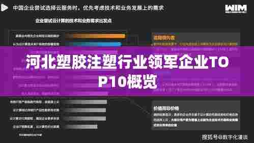 河北塑胶注塑行业领军企业TOP10概览