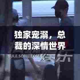 独家宠溺,总裁的深情世界之旅