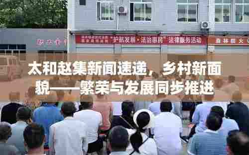 太和赵集新闻速递,乡村新面貌——繁荣与发展同步推进