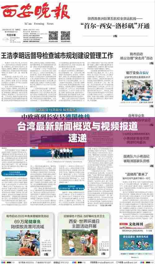 台湾最新新闻概览与视频报道速递