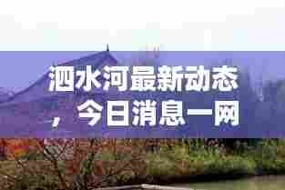 泗水河最新动态，今日消息一网打尽！