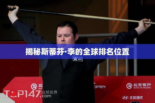 揭秘斯蒂芬·李的全球排名位置
