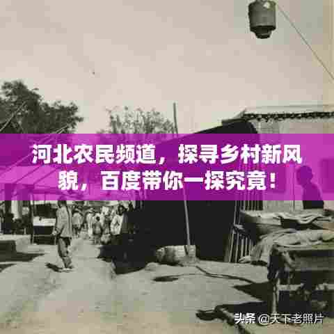 河北农民频道,探寻乡村新风貌,百度带你一探究竟!
